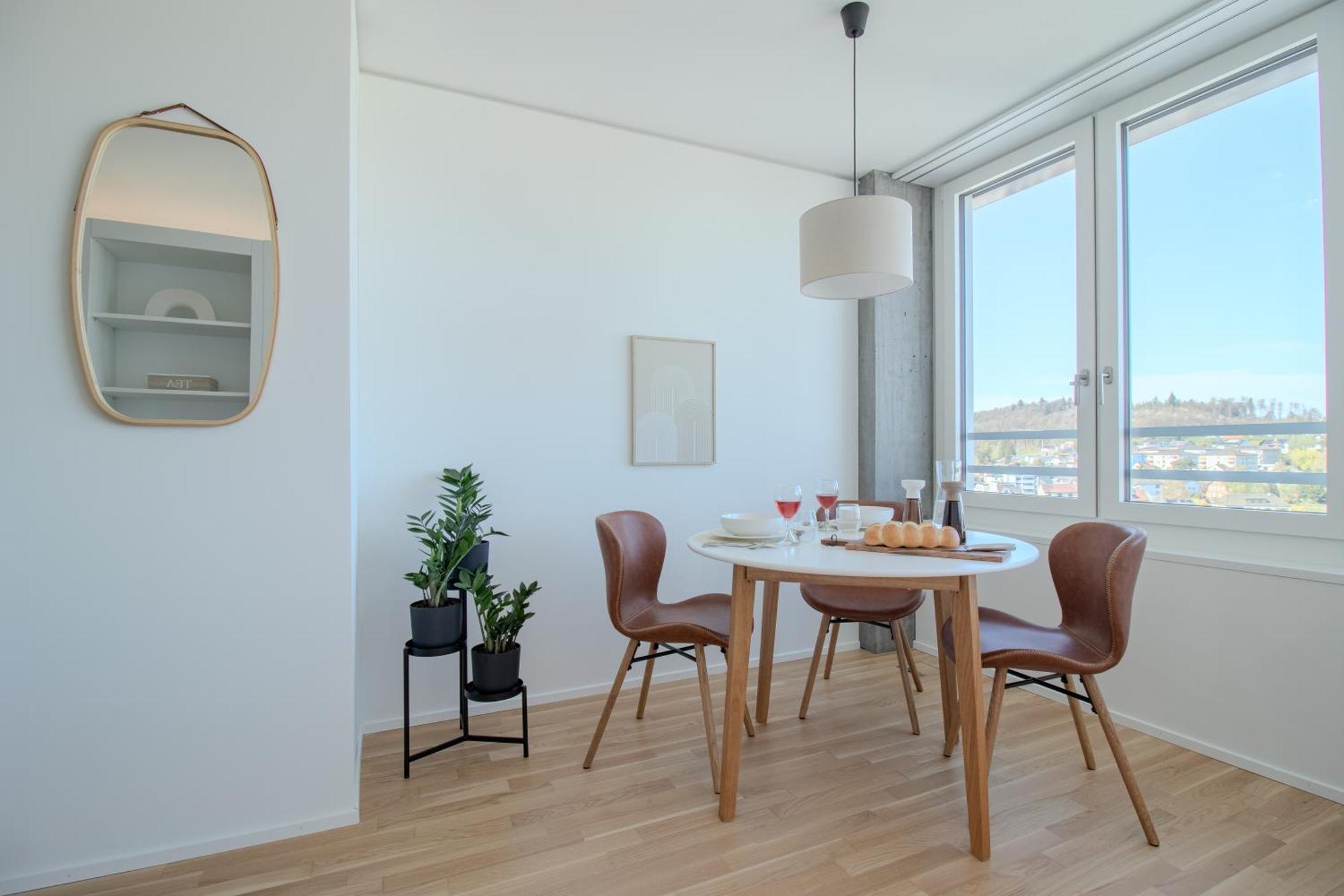 Loewe Apartments Am Rheinfall Нойхаузен-ам-Райнфалль Экстерьер фото